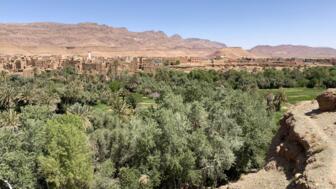 marokko-todra schlucht-IMG_5384.jpg
