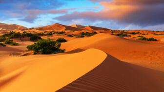 marokko-mayval-sahara-landschaft-erg-chebbi-merzouga-shutterstock_2451800421.jpg