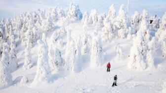 schweden-lappland-scwin-schneeschuhwanderer-shutterstock-2071991171.jpg