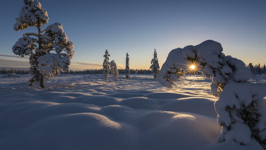 schweden-scwin-lappland-winterlandschaft-shutterstock-359791091.jpg