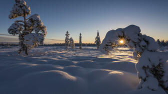 schweden-scwin-lappland-winterlandschaft-shutterstock-359791091.jpg