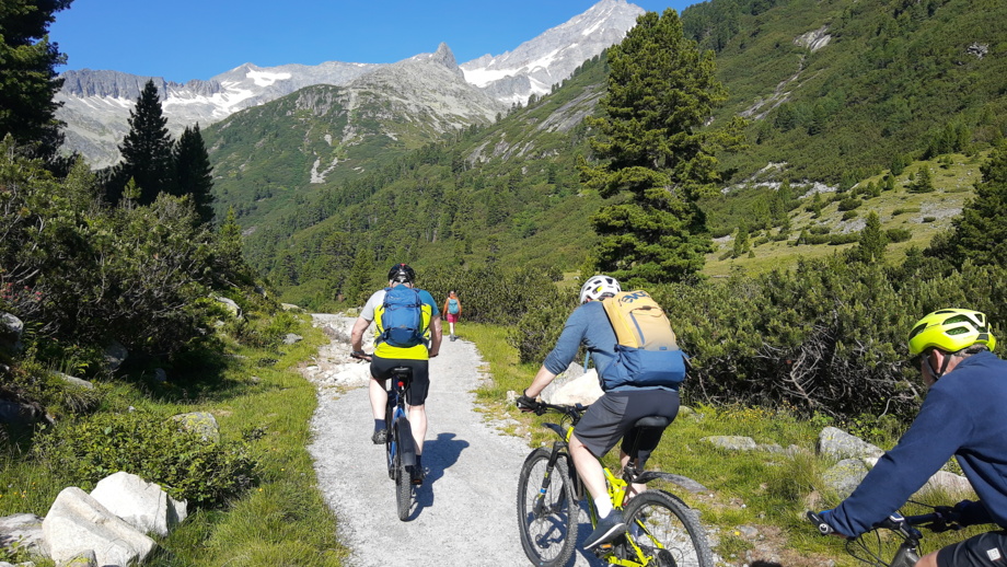 Eine Gruppe an Mountainbiker auf einer Forststrasse fahrend. Im Hintergrund sieht man die Berge.