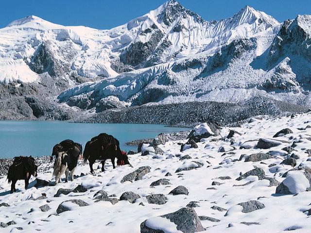 Trekking Bhutan