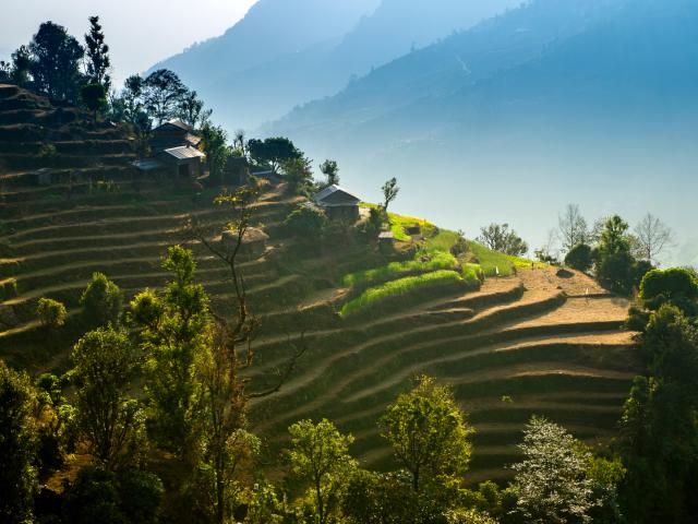 Blick auf Reiseterrassen im Kathmandu-Tal
