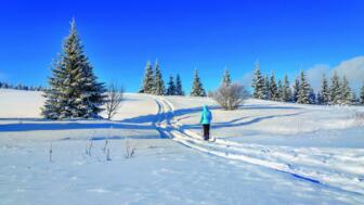shutterstock-335517455-schneeschuhwandern.jpg
