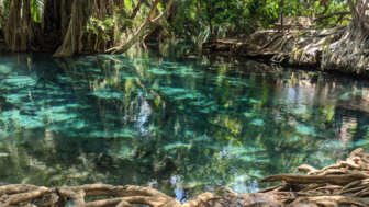 tansania-maji chemka-wasserfälle-shutterstock_1707110230.jpg