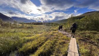 Drei Wanderer wandern im Sonnenschein durch das Fjell im Norden Schwedens
