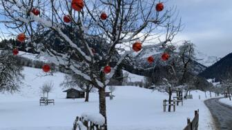 Oberstdorf_Baumschmuck.jpg