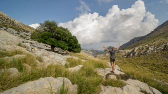 spanien-mallorca-tramuntana-hiker-landscape-shutterstock-1169584339.jpg