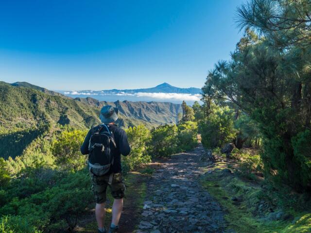Mann wandert auf Teneriffa durch einen Kieferwald mit Blick auf den Teide