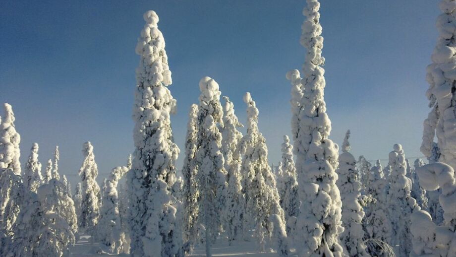 Finnland_Schnee.jpg
