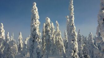 Finnland_Schnee.jpg