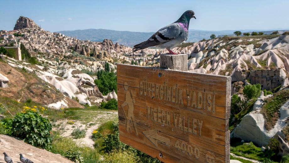 tuerkei-kappadokien-tukap-ihlara-tal-shutterstock_2233062137.jpg