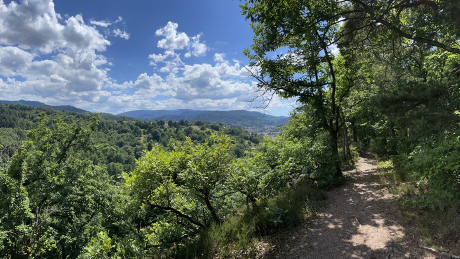 Der Ausblick in den Schwarzwald