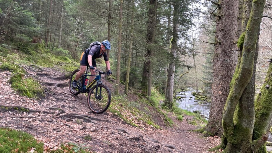 Ein Mountainbiker im Wald bei der Abfahrt während des Fahrtechniktrainings.