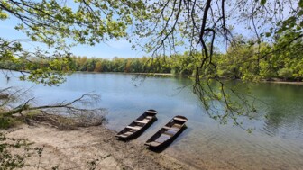 Zwei Boote auf dem Gewässer des Altrheins.