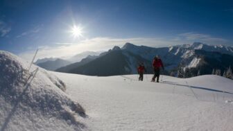 SetzbergSS042.jpg