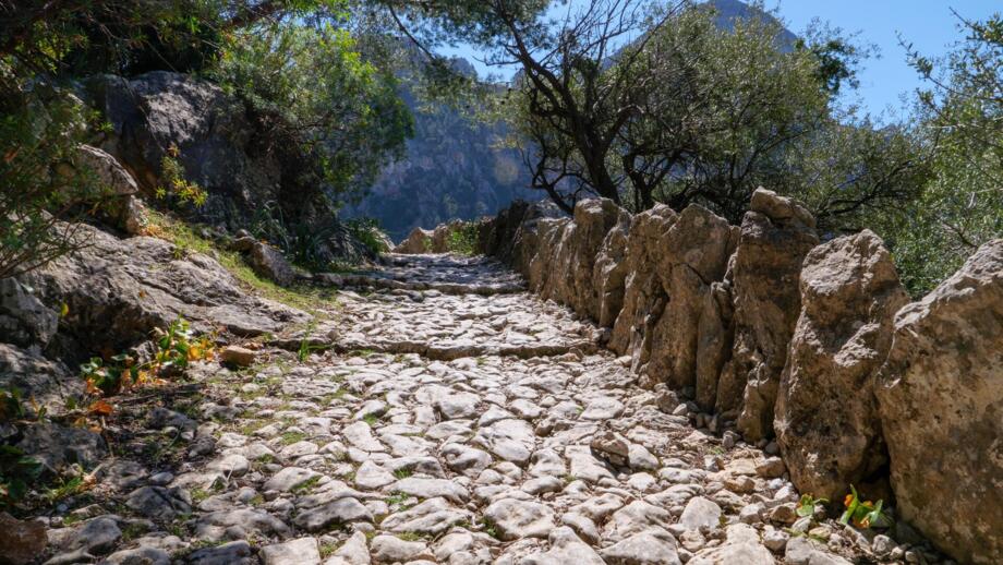 spanien-mallorca-esmal-trockenmauerweg-gr221-biniaraix-soller-shutterstock_2162581445.jpg