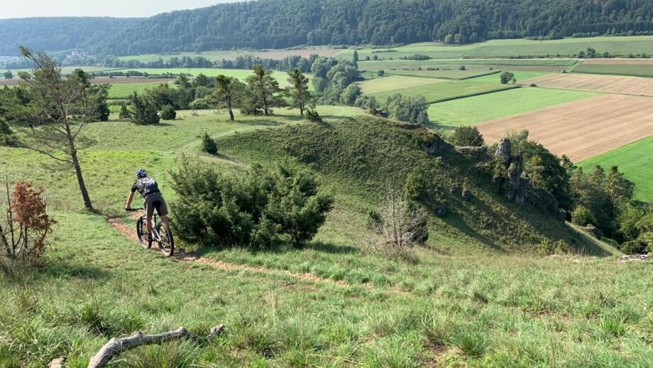 Ein Mountainbiker unterwegs auf einem Pfad im Altmühltal.