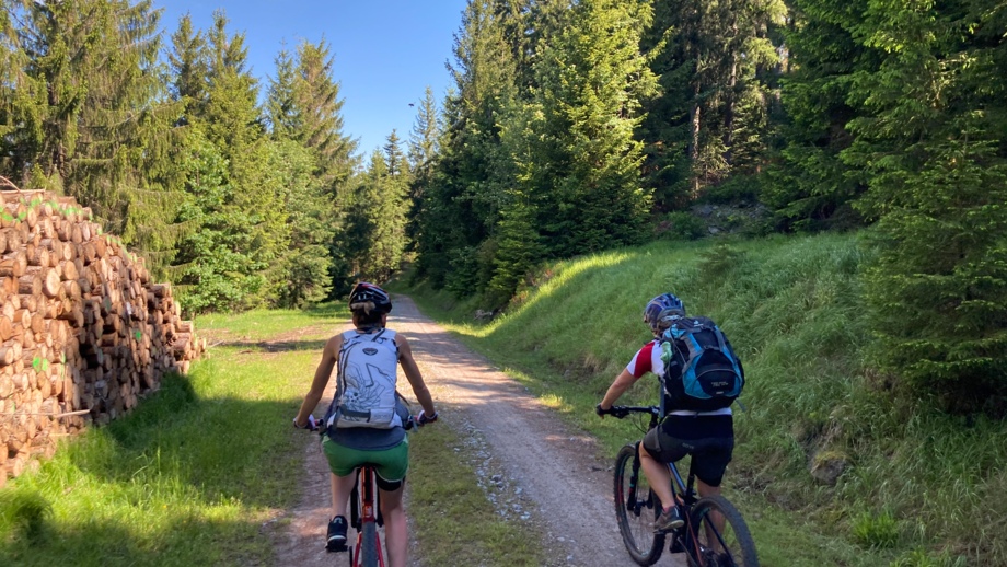 Zwei Mountainbiker*innen während der Tour im Bayerischen Wald mit dem Wald im Hintergrund.