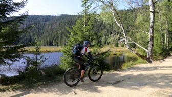 Eine Mountainbikerin fährt mit dem Mountainbike an einem See entlang. Im Hintergrund des den bewaldeten Gipfel des Bayerischen Walds zu senden. Die Sonne scheint. Ein Birke schwingt im Wind.