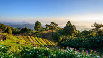 Ausblick über Felder und Berge im Hintergrund im Huay Nam Dang Nationalpark