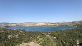 PXL_20250529_083154762.jpg