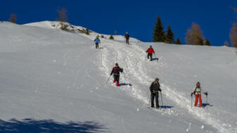 Österreich_Brennerberge_Almis_SWHBREN (2).jpg