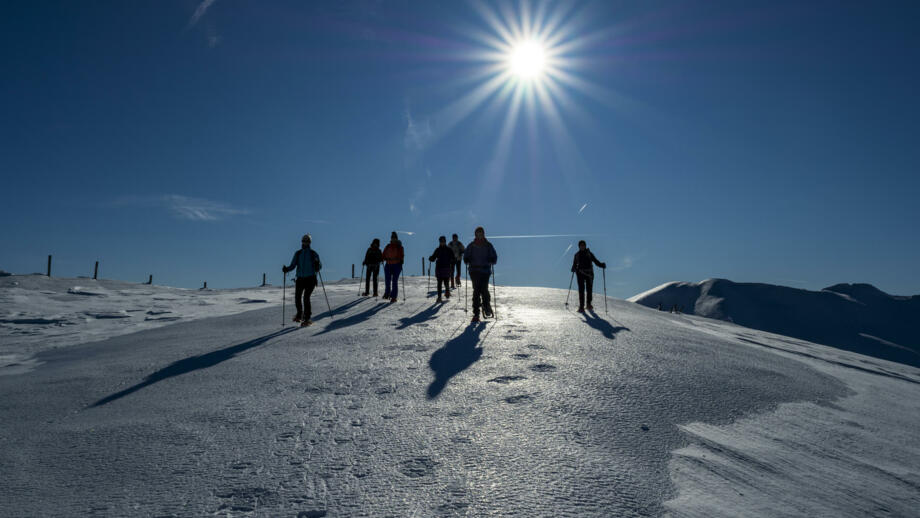 Österreich_Brennerberge_Almis_SWHBREN (11).jpg