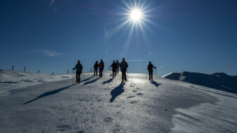 Österreich_Brennerberge_Almis_SWHBREN (11).jpg