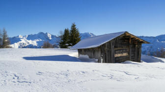 Österreich_Brennerberge_Almis_SWHBREN (30).jpg