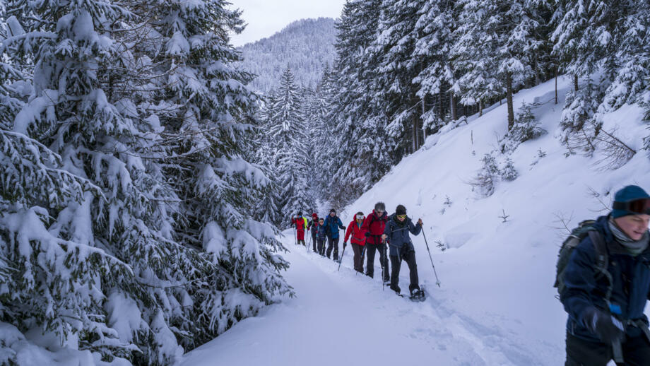 Österreich_Brennerberge_Almis_SWHBREN (3).jpg