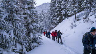 Österreich_Brennerberge_Almis_SWHBREN (3).jpg
