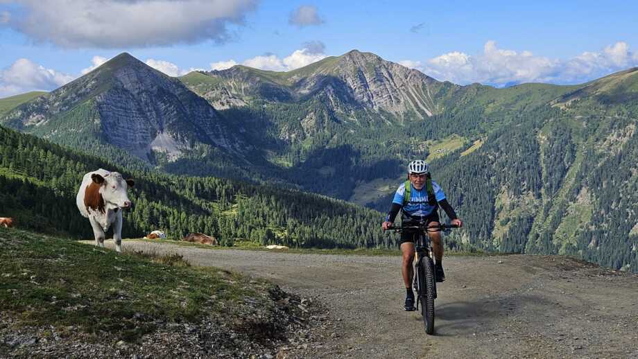 Ein E-Mountainbiker unterwegs auf einem Almenweg. Im Hintergrund sind die Gipfel des Alpenhauptkamms zu sehen.