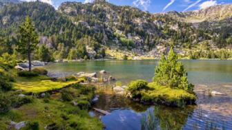 sommerlandschaft-in-la-cerdanya-shutterstock_2126702204.jpg