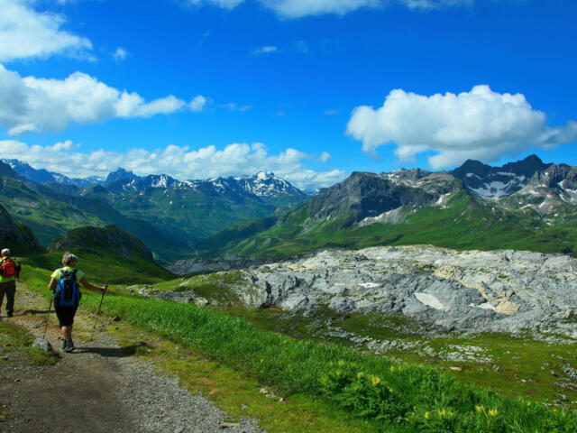 Panorama Lechtaler Alpen