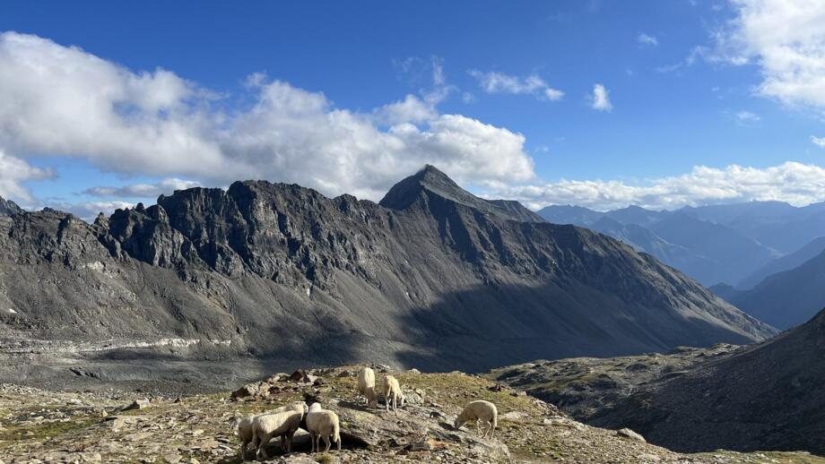oesterreich-hotjoh-hochtourenkurs-großvenediger-hohe tauern-johannishütte-defreggerhaus (10).jpg