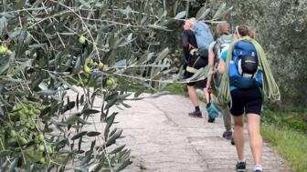 italien-gardasee-arco-grundkurs-klettern-gfgar (18).jpg