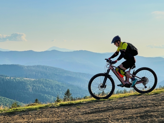 Ein E-Mountainbiker unterwegs. Im Hintergrund sind die Berge zu sehen.