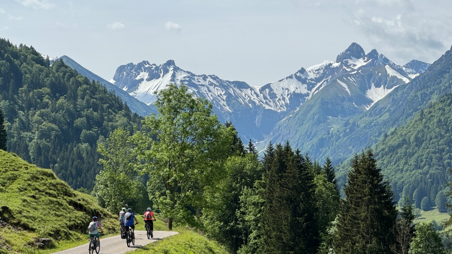 Eine Mountainbikegruppe unterwegs durch das Kleinwalsertal. Die Berge sind im Hintergrund.