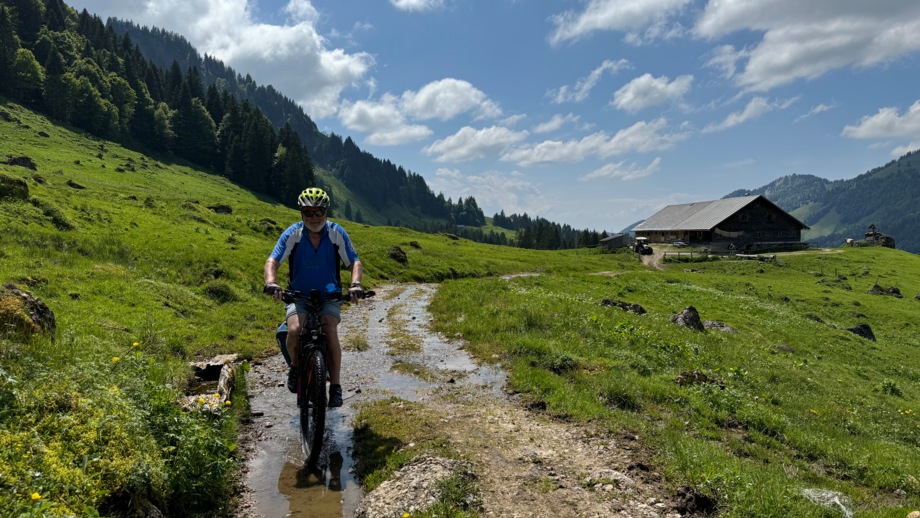 Ein Mountainbiker fährt auf einer Forststaße.