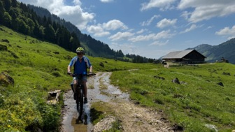 Ein Mountainbiker fährt auf einer Forststaße.