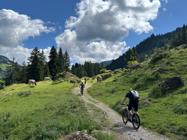 Eine Gruppe Mountainbiker im Kleinwalsertal