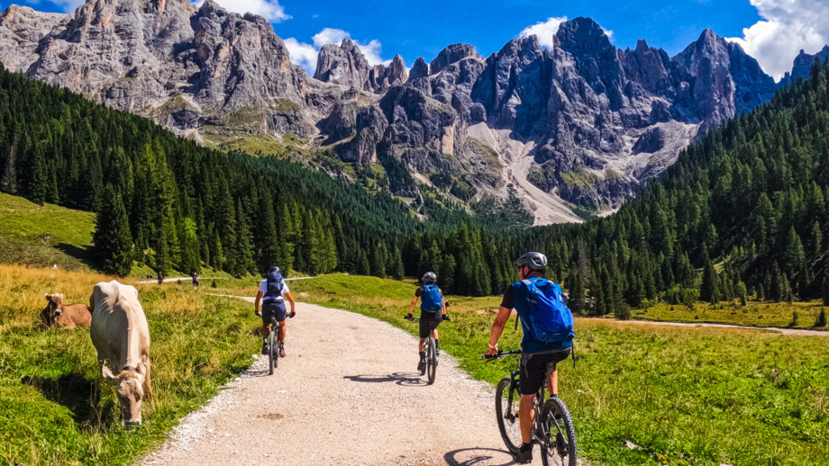 Eine Gruppe an Mountainbiker unterwegs