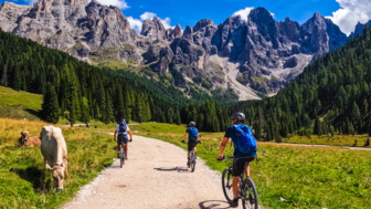 Eine Gruppe an Mountainbiker unterwegs