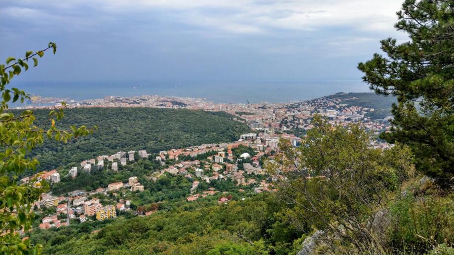Der Blick auf Triest. Die Häuser sind im Vordergrund und im Hintergrund sieht man das Meer. Der Himmel ist bewölkt.