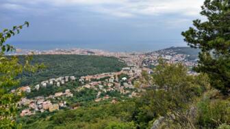 Der Blick auf Triest. Die Häuser sind im Vordergrund und im Hintergrund sieht man das Meer. Der Himmel ist bewölkt.