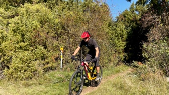 Ein Mountainbiker auf einem Trail im Altmühltal.