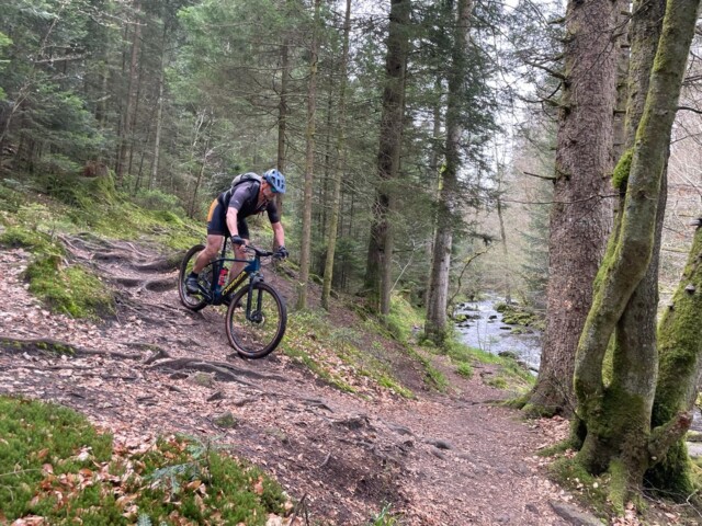 Ein Mountainbiker im Wald bei der Abfahrt während des Fahrtechniktrainings.