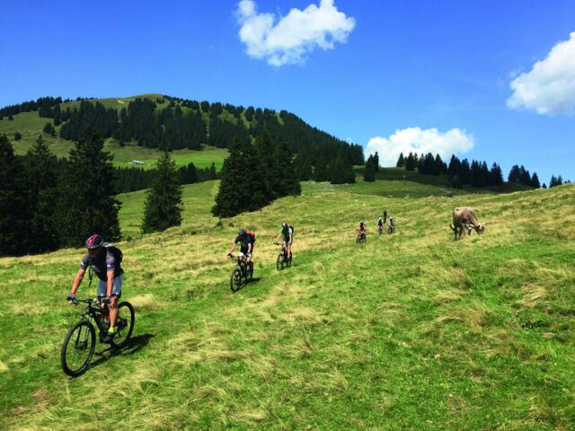 MTB Gruppe auf grüner Wiese fahrend mit den Hügeln des Appenzells im Hintergrund